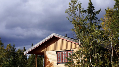 Illustration : Construire sa maison en bois : plus écologique ?